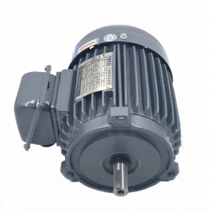 TEF3系列AEMB3N高效三相異步電機